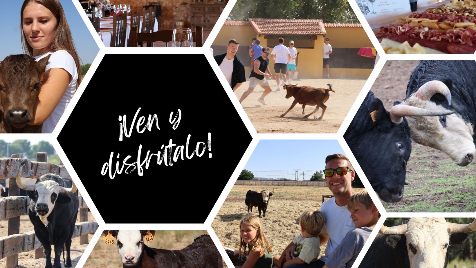 Visita los toros Carasblancas