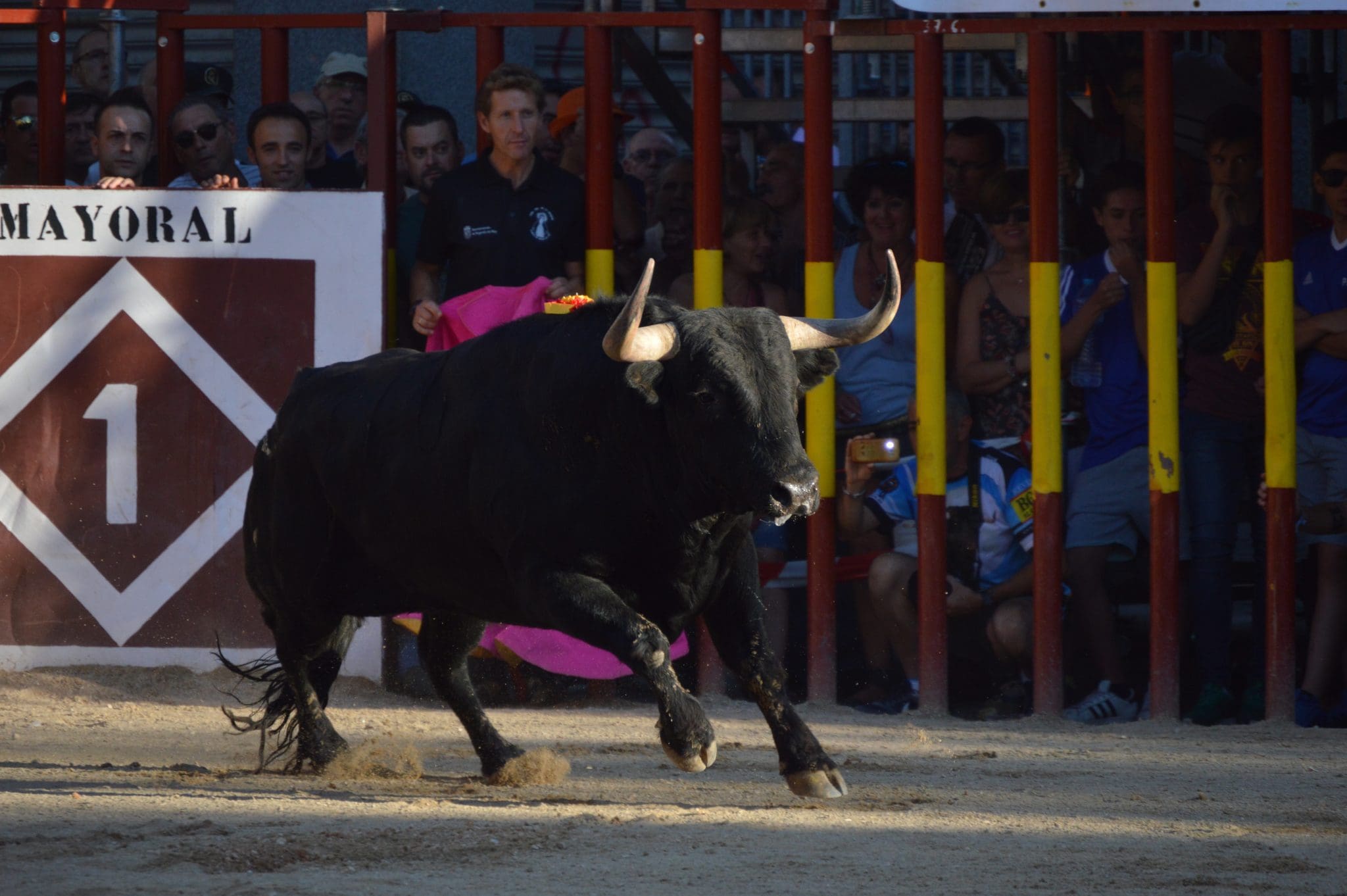Madrid Capeas bull running