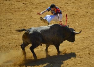 CampoToro Bull Leapers Demonstration