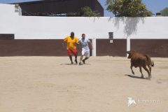 Wait, wait Madrid CAPEA CORRIDA