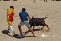 Ohh...baby bull is coming!