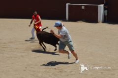 Face the bull