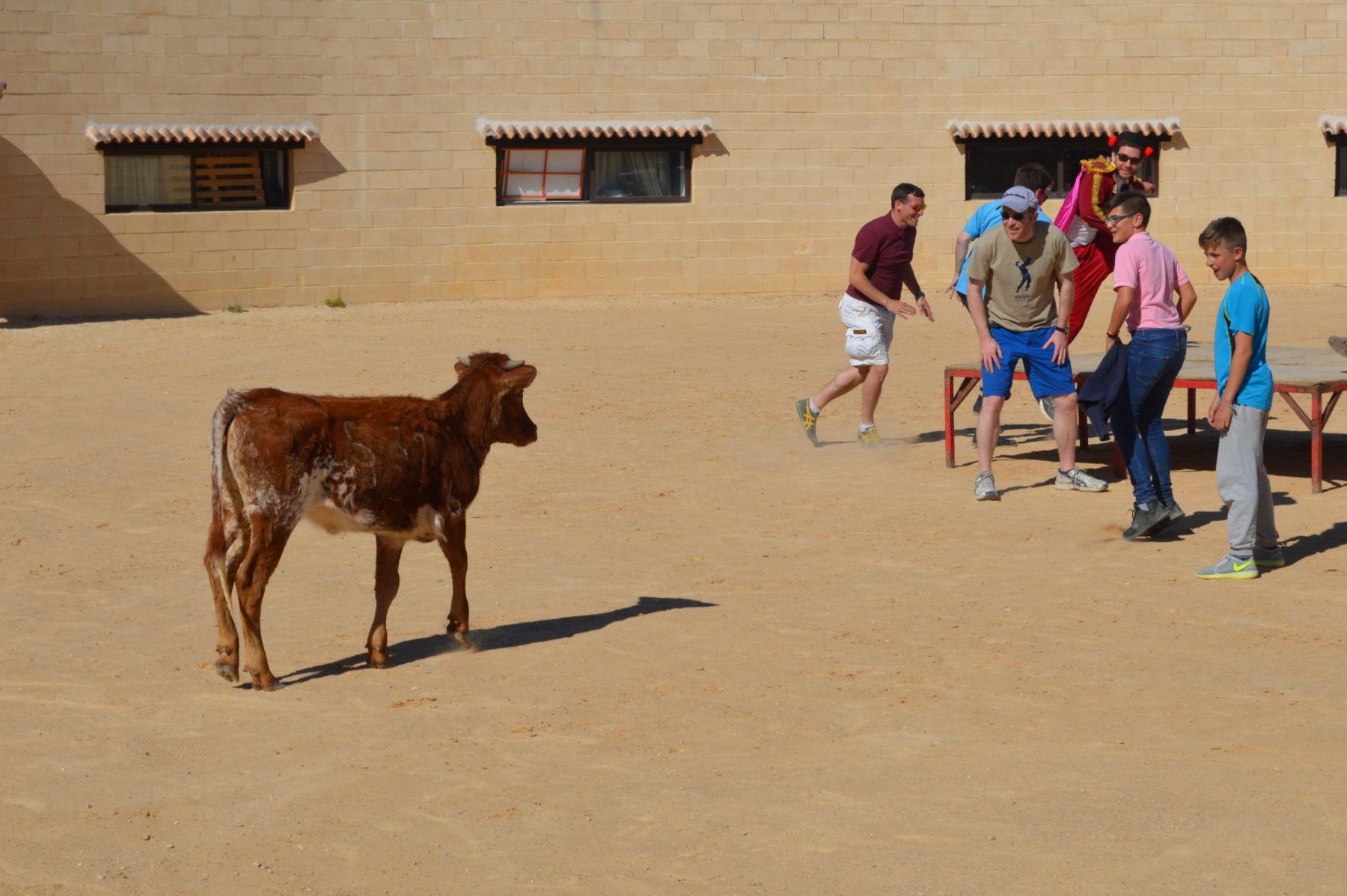 DSC_0453-scaled