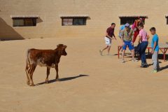 DSC_0453-scaled