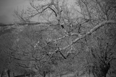 DSC_1088
