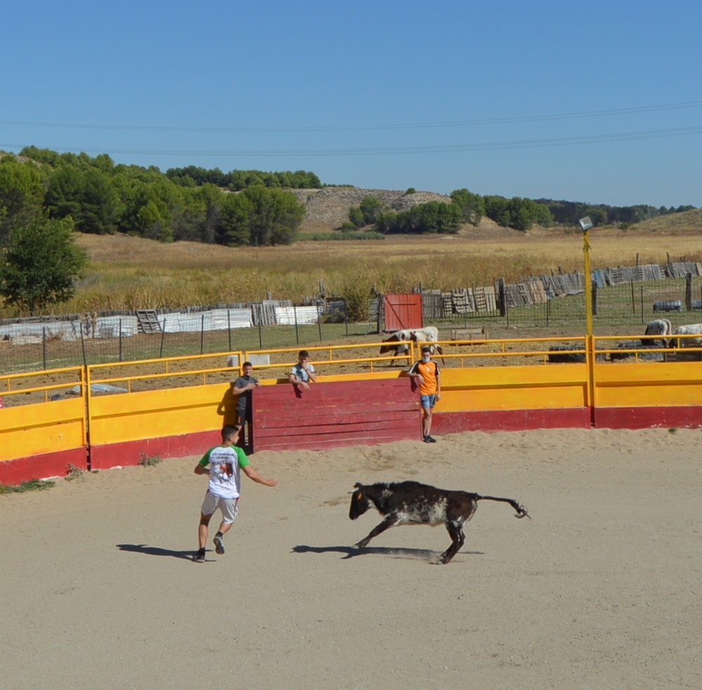 Madrid CAPEA CORRIDA