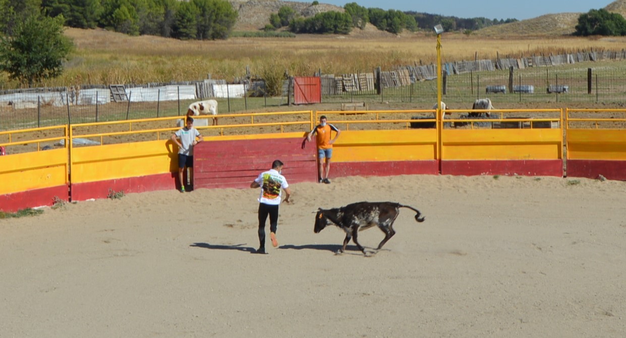 Madrid CAPEA CORRIDA