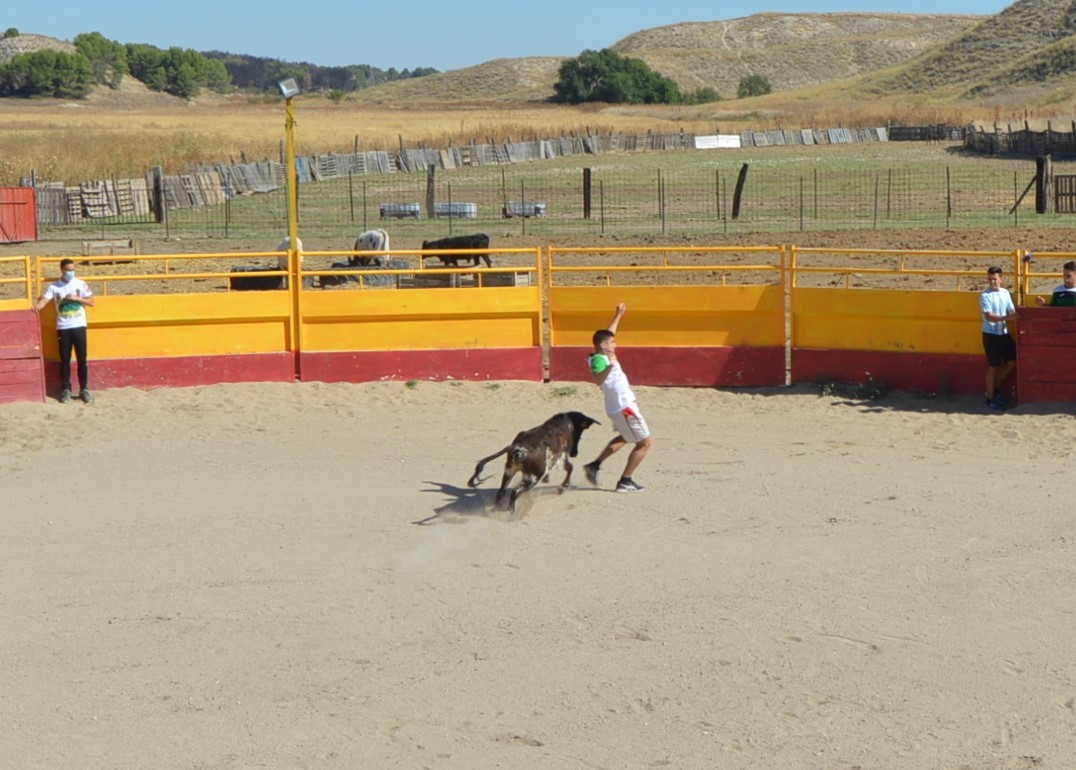 Madrid CAPEA CORRIDA