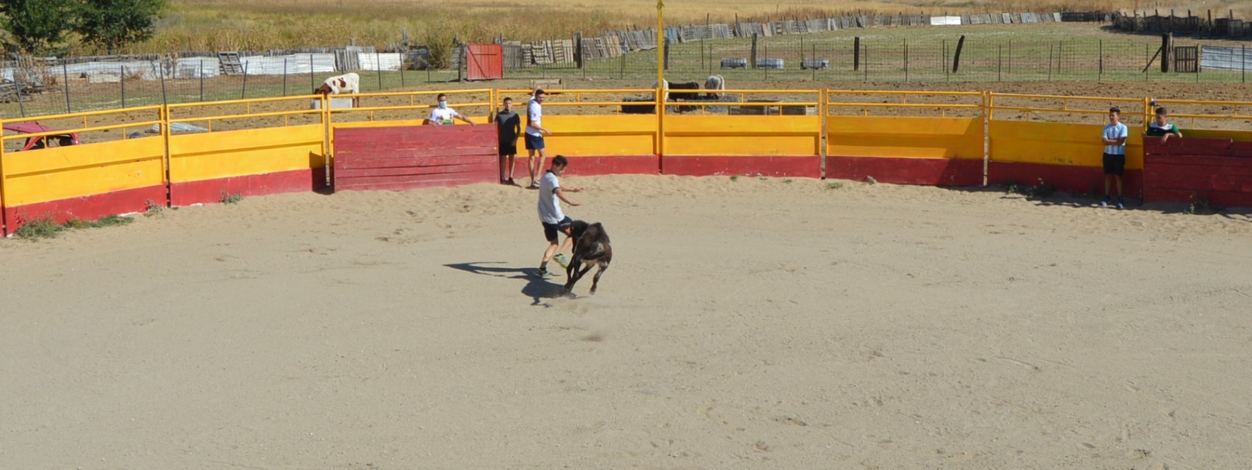 Madrid CAPEA CORRIDA