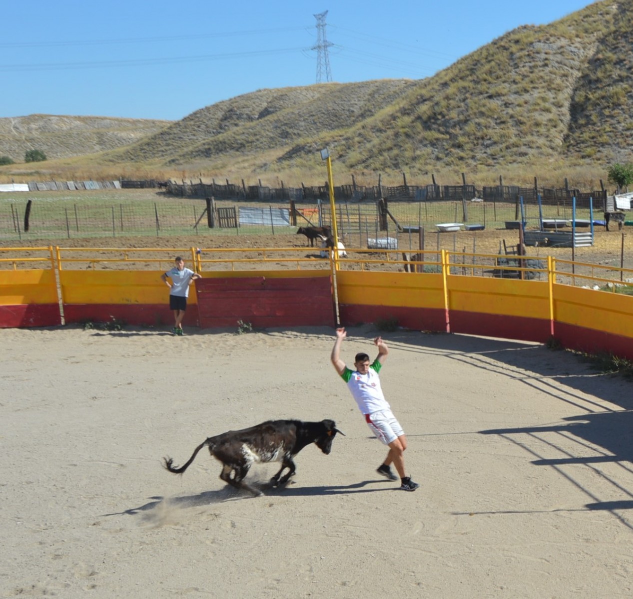 Madrid CAPEA CORRIDA
