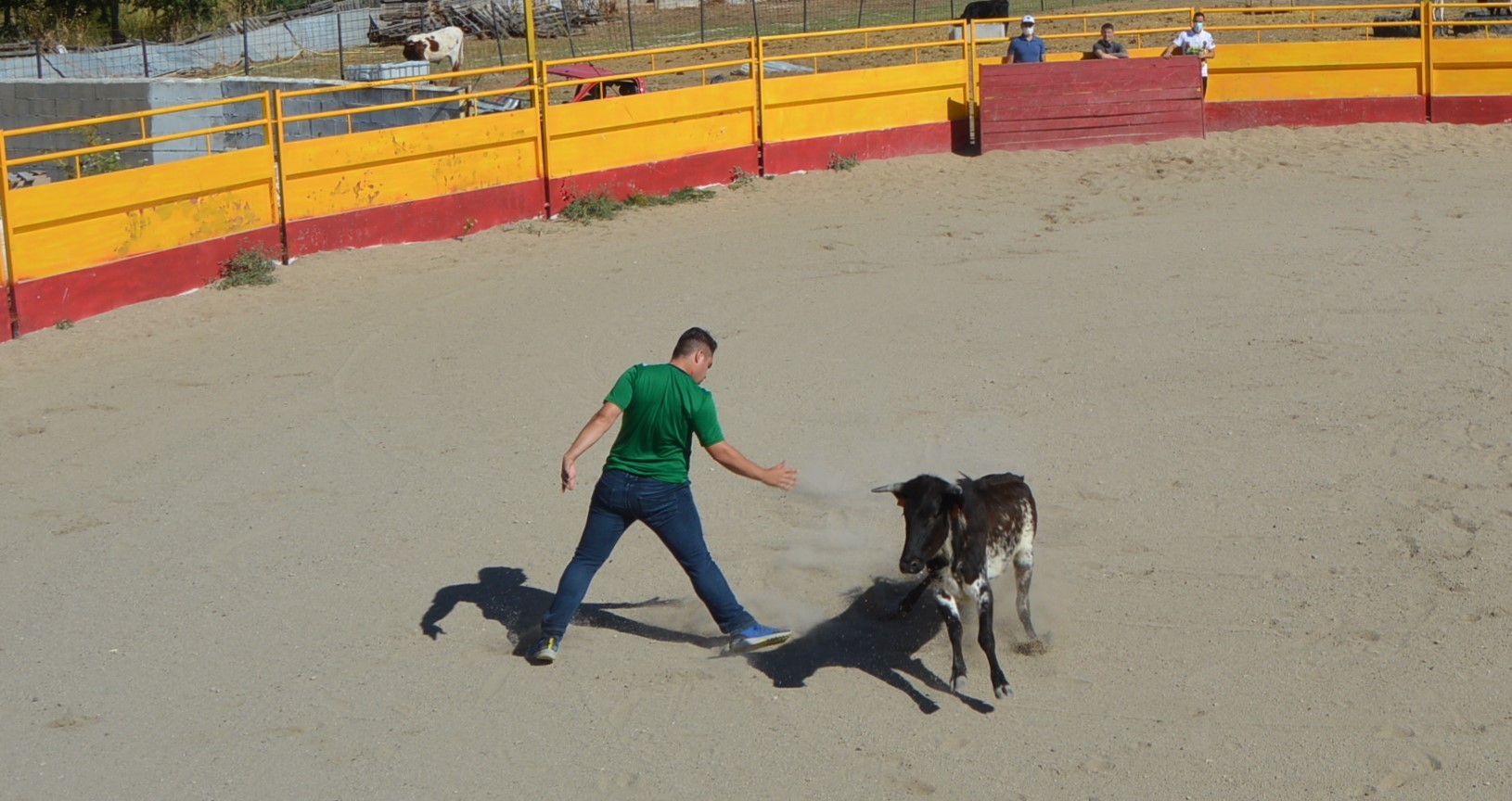 Madrid CAPEA CORRIDA
