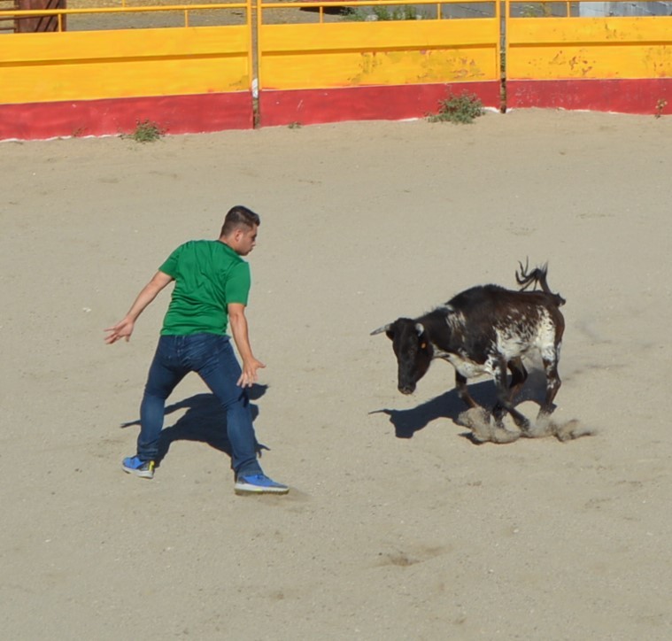 Madrid CAPEA CORRIDA