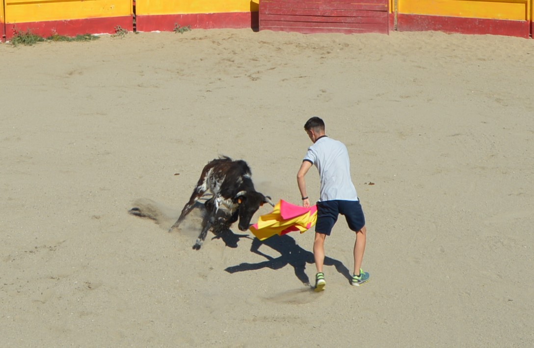 Madrid CAPEA CORRIDA