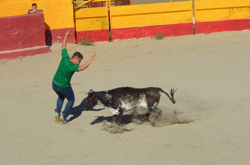 Madrid CAPEA CORRIDA