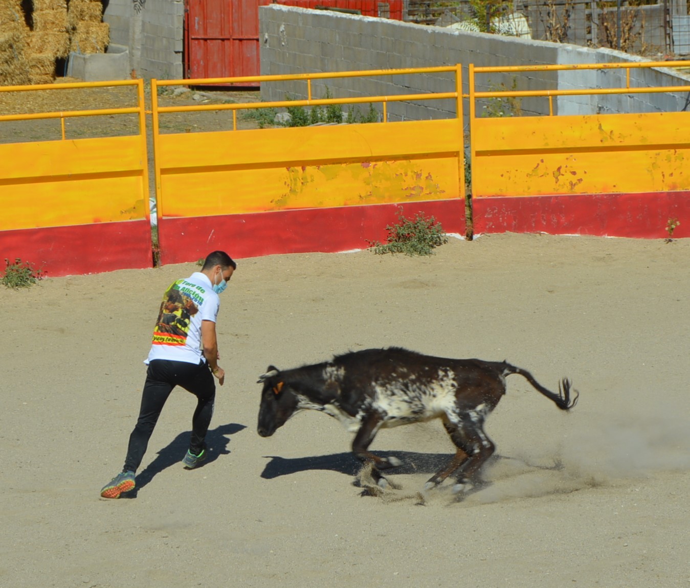 Madrid CAPEA CORRIDA