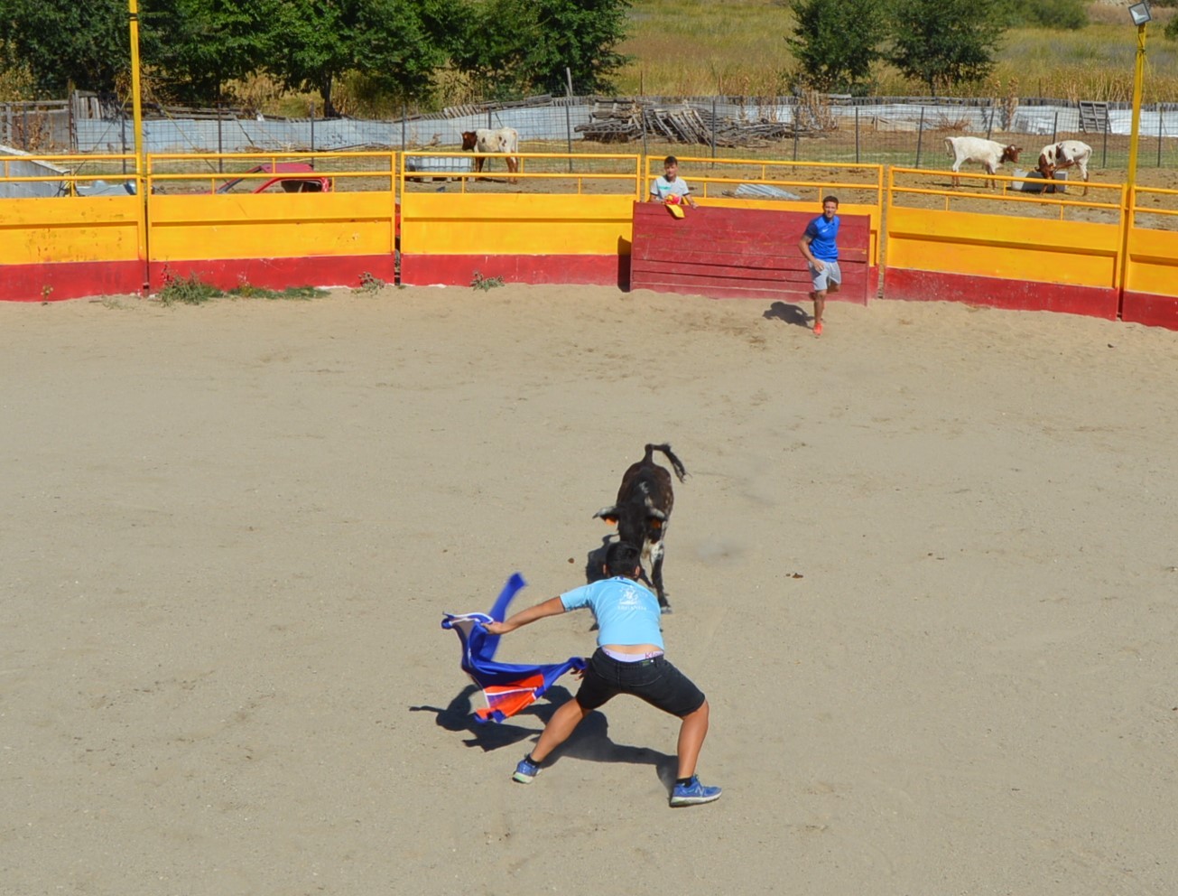 Madrid CAPEA CORRIDA