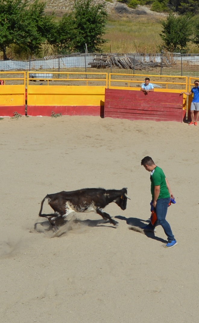 Madrid CAPEA CORRIDA