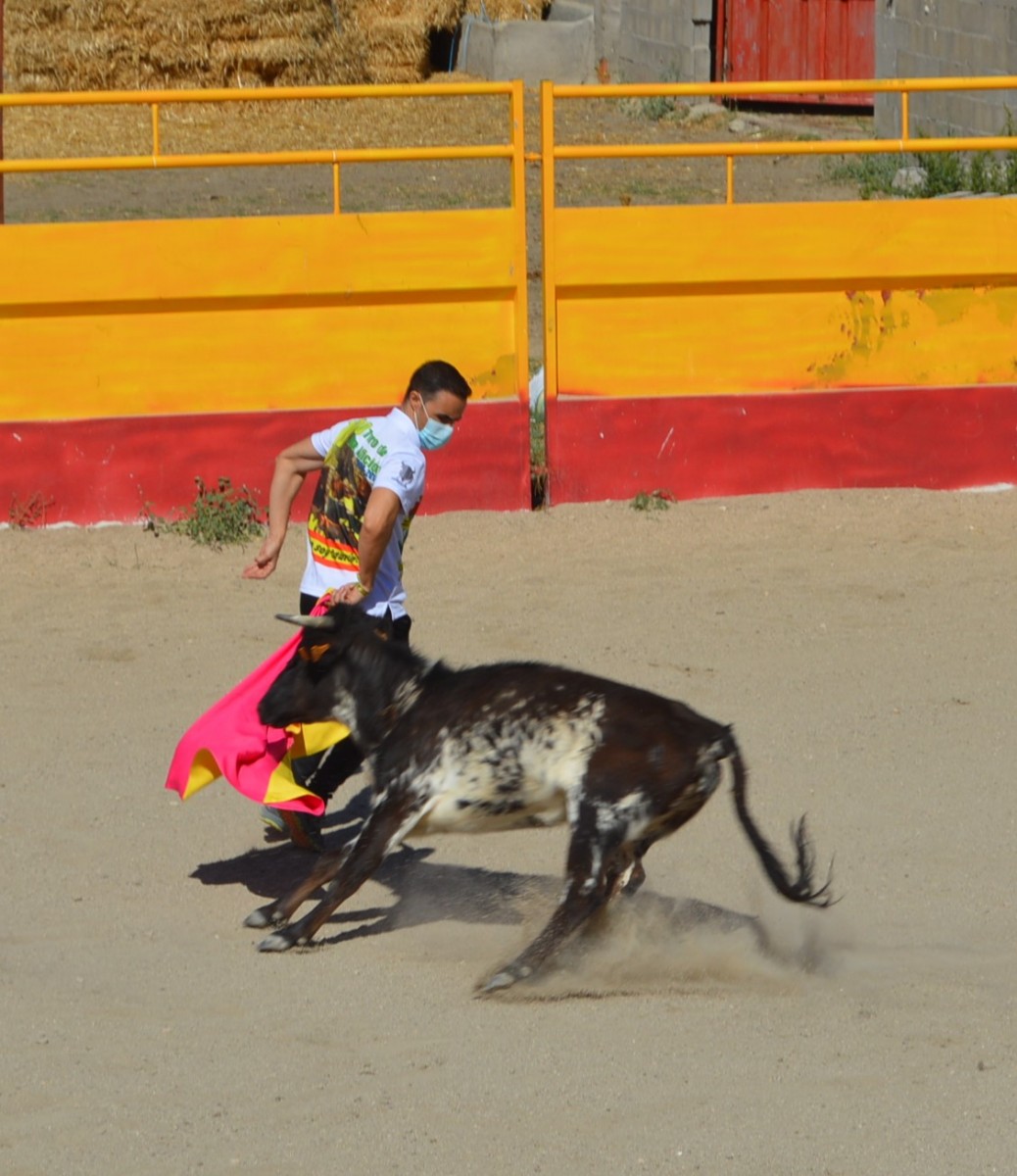 Madrid CAPEA CORRIDA