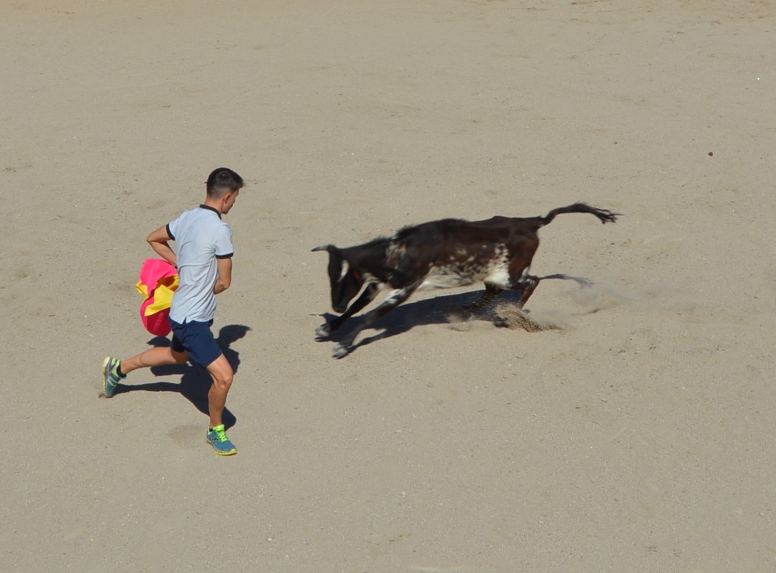 Madrid CAPEA CORRIDA