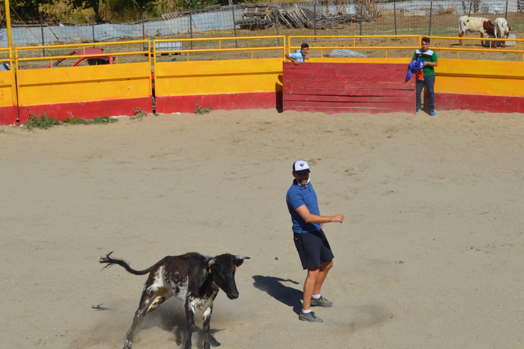 Madrid CAPEA CORRIDA
