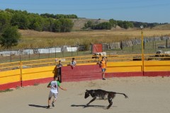 Madrid CAPEA CORRIDA