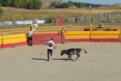 Madrid CAPEA CORRIDA