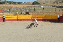 Madrid CAPEA CORRIDA