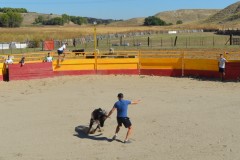 Madrid CAPEA CORRIDA