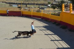 Madrid CAPEA CORRIDA