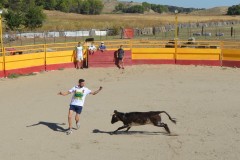 Madrid CAPEA CORRIDA