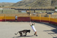 Madrid CAPEA CORRIDA