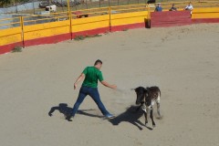 Madrid CAPEA CORRIDA
