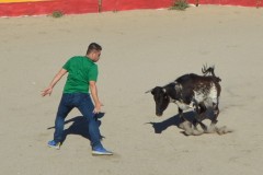 Madrid CAPEA CORRIDA