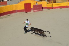 Madrid CAPEA CORRIDA