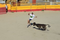 Madrid CAPEA CORRIDA