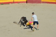Madrid CAPEA CORRIDA