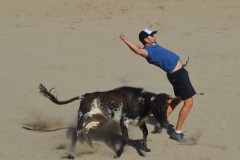 Madrid CAPEA CORRIDA