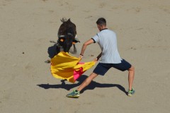 Madrid CAPEA CORRIDA