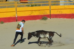 Madrid CAPEA CORRIDA
