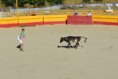 Madrid CAPEA CORRIDA