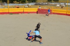 Madrid CAPEA CORRIDA