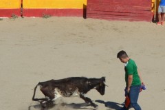 Madrid CAPEA CORRIDA