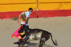 Madrid CAPEA CORRIDA