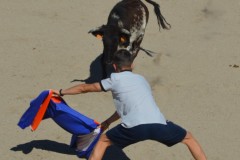 Madrid CAPEA CORRIDA