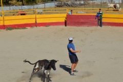 Madrid CAPEA CORRIDA