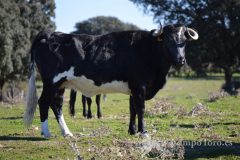 DSC_0324-copia-scaled