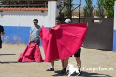 Trainning baby bull running