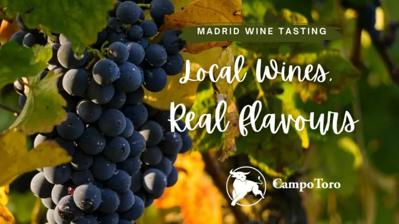 wine tasting Madrid