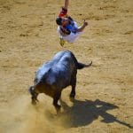 bull tour Madrid