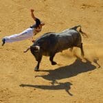 bull Tour Madrid